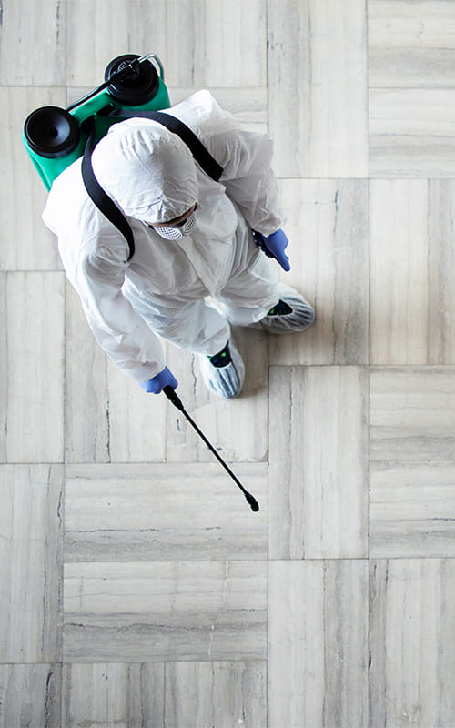 Water Damage Restoration Doral team working on local home restoration